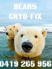 Bears Cryotherapy Fix